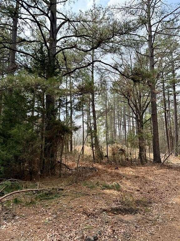 2 Acres of Residential Land for Sale in Logansport, Louisiana