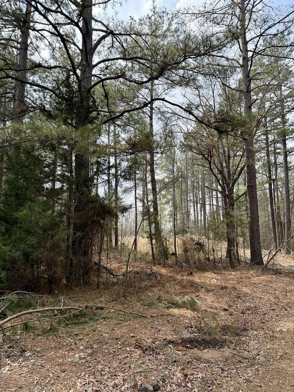 2 Acres of Residential Land for Sale in Logansport, Louisiana