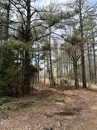 2 Acres of Residential Land for Sale in Logansport, Louisiana
