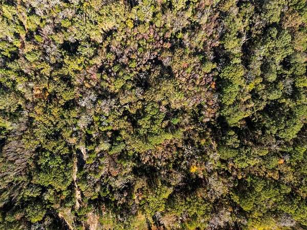 17 Acres of Land for Sale in Chandler, Texas