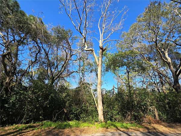 5 Acres of Residential Land for Sale in Montverde, Florida