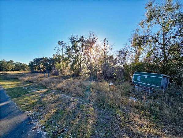 0.16 Acres of Residential Land for Sale in Kissimmee, Florida