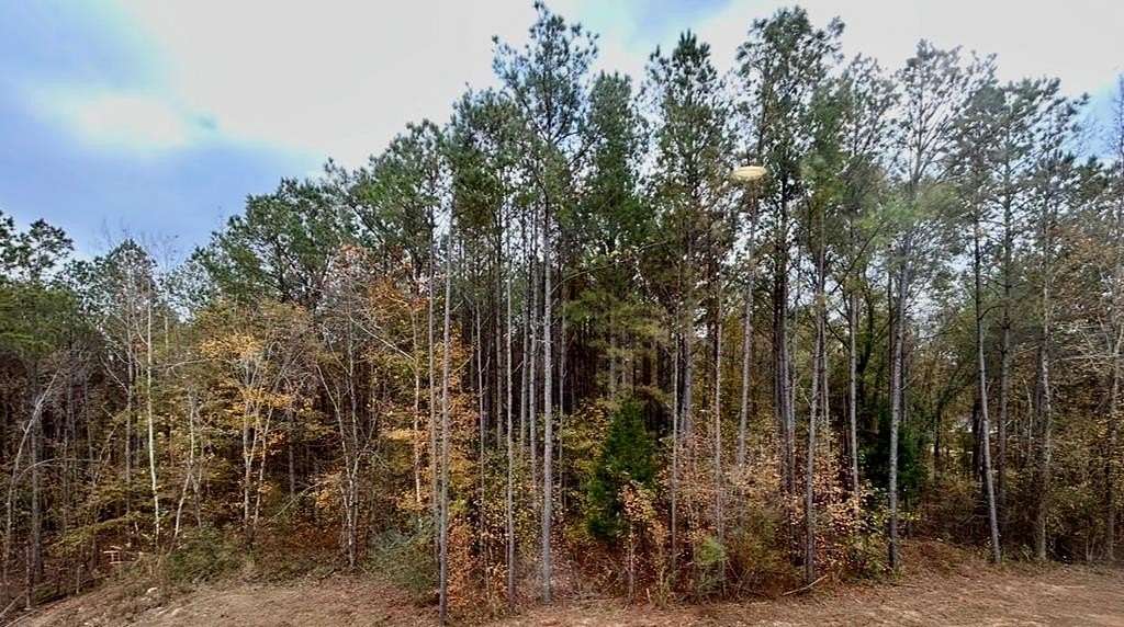 6.43 Acres of Land for Sale in Guntown, Mississippi