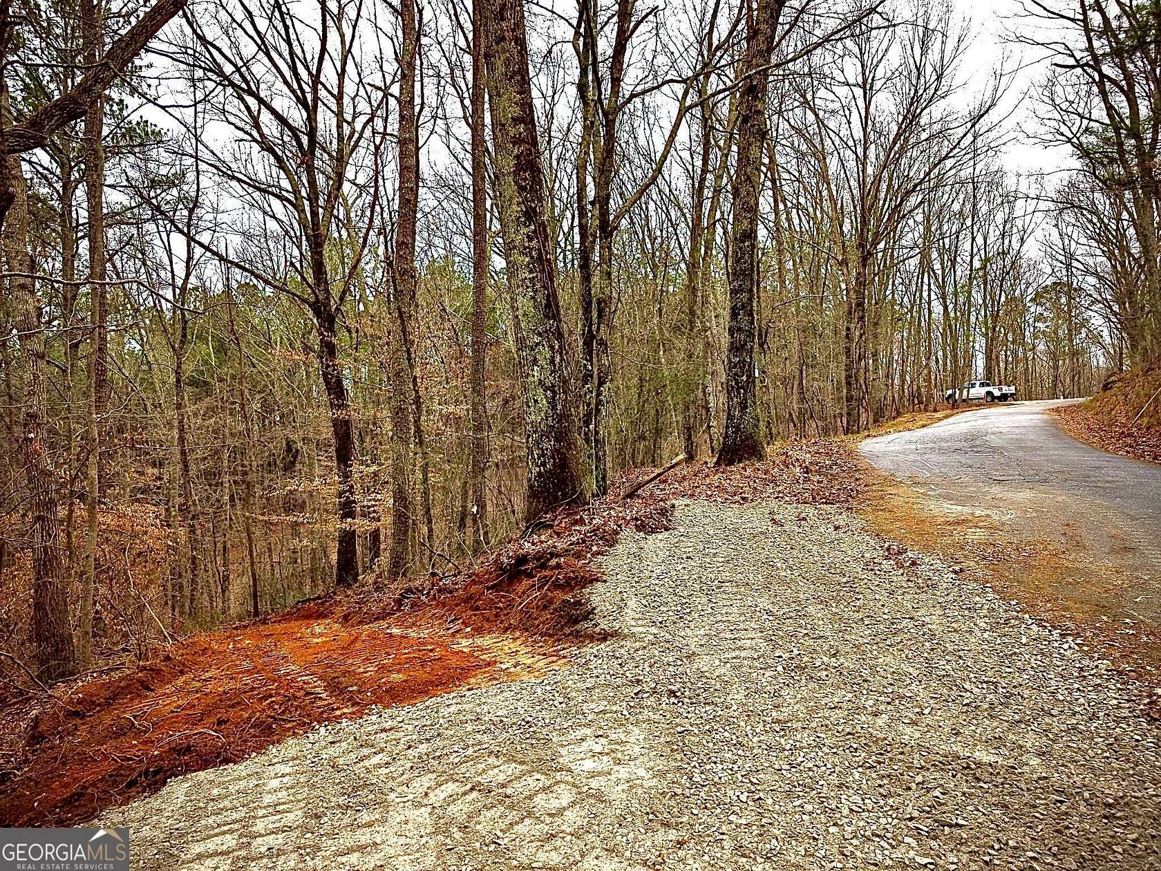 17.2 Acres of Land for Sale in Waleska, Georgia