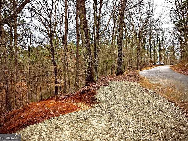 17.2 Acres of Land for Sale in Waleska, Georgia