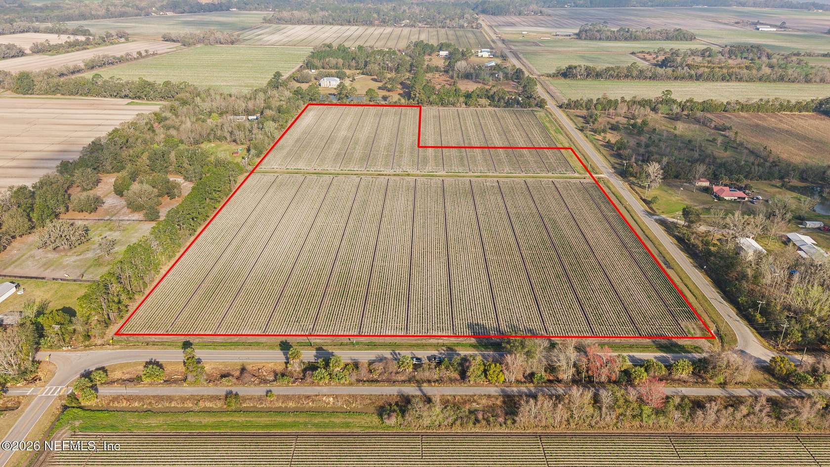 20 Acres of Agricultural Land for Sale in East Palatka, Florida