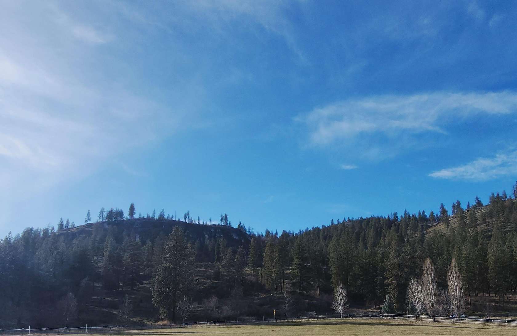 30 Acres of Land for Sale in Kettle Falls, Washington