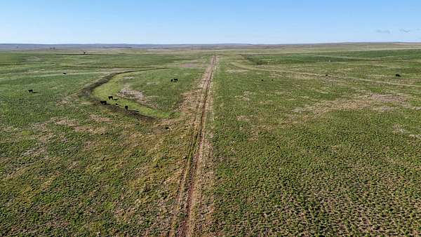 40 Acres of Recreational Land for Sale in Deer Trail, Colorado