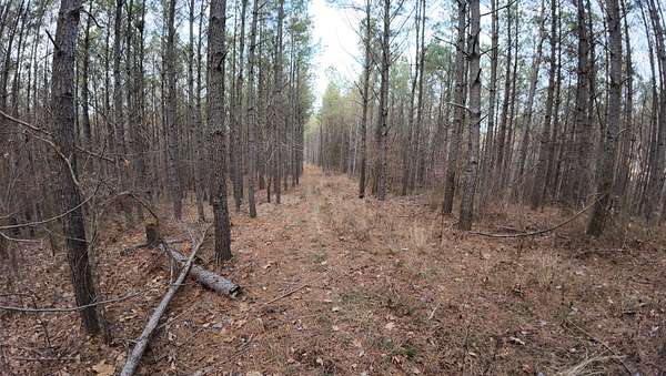 9 Acres of Residential Land for Sale in Linden, Tennessee