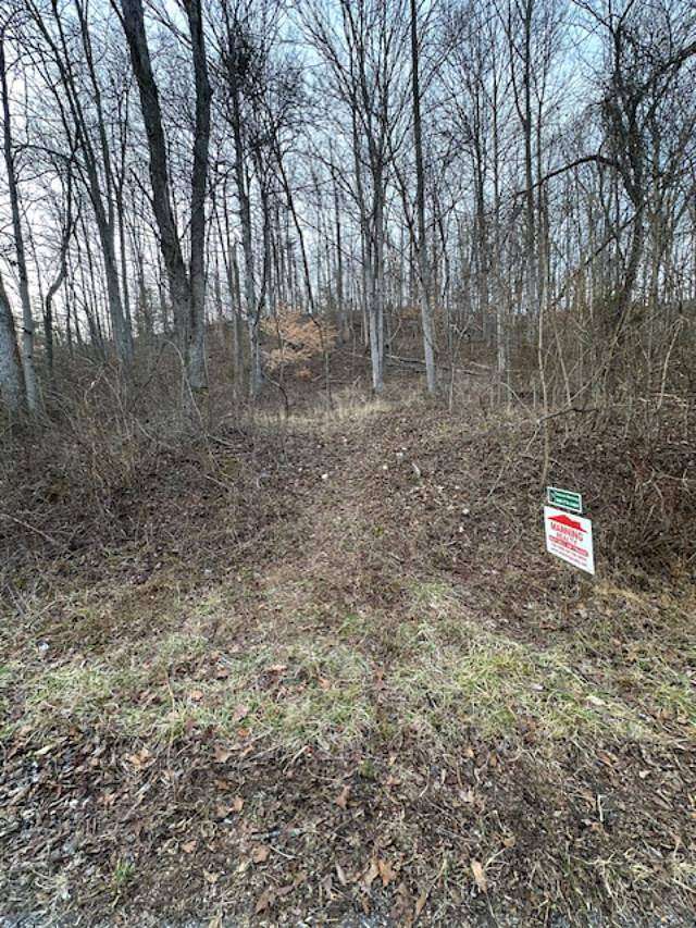 3.87 Acres of Land for Sale in Olive Hill, Kentucky