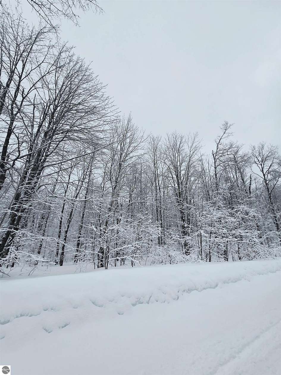 0.65 Acres of Residential Land for Sale in Elmira, Michigan