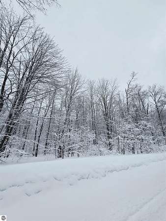 0.65 Acres of Residential Land for Sale in Elmira, Michigan