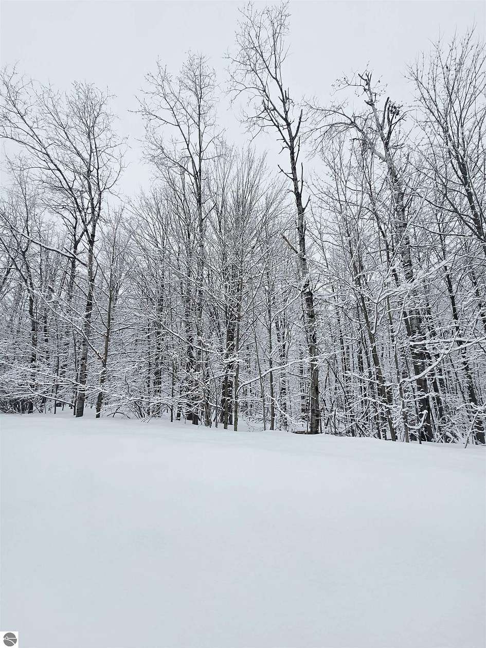 0.63 Acres of Residential Land for Sale in Elmira, Michigan