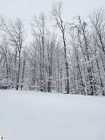 0.63 Acres of Residential Land for Sale in Elmira, Michigan