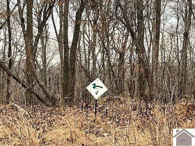 3.72 Acres of Residential Land for Sale in Cadiz, Kentucky