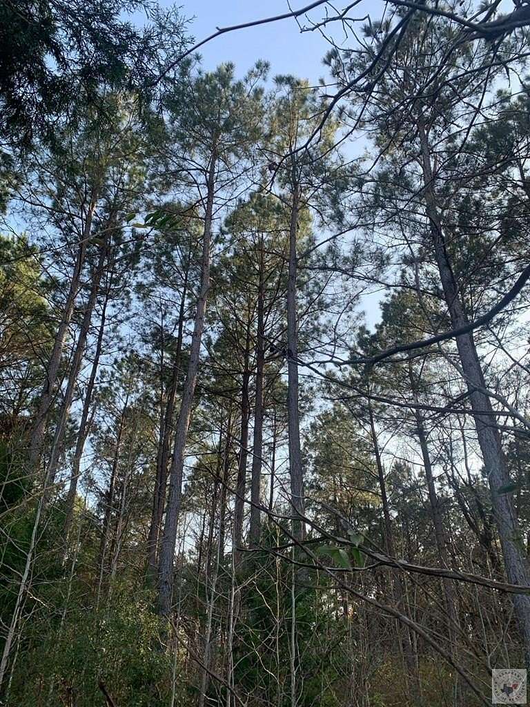 105 Acres of Recreational Land for Sale in Atlanta, Texas