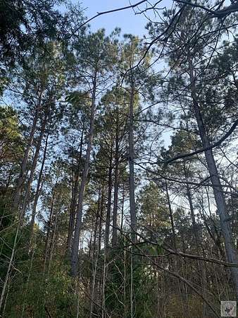 105 Acres of Recreational Land for Sale in Atlanta, Texas