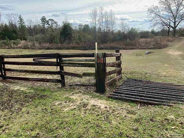 80 Acres of Land for Sale in Jay, Florida