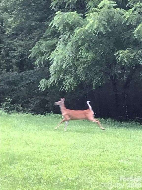 10.4 Acres of Land for Sale in Fairview, North Carolina