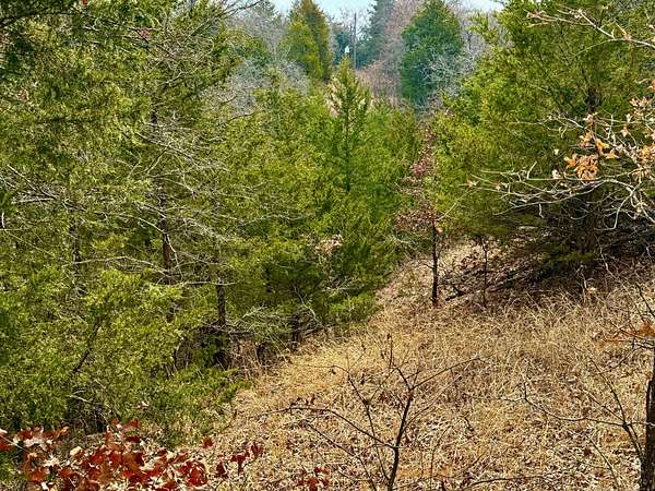 88 Acres of Land for Sale in Whitesboro, Texas