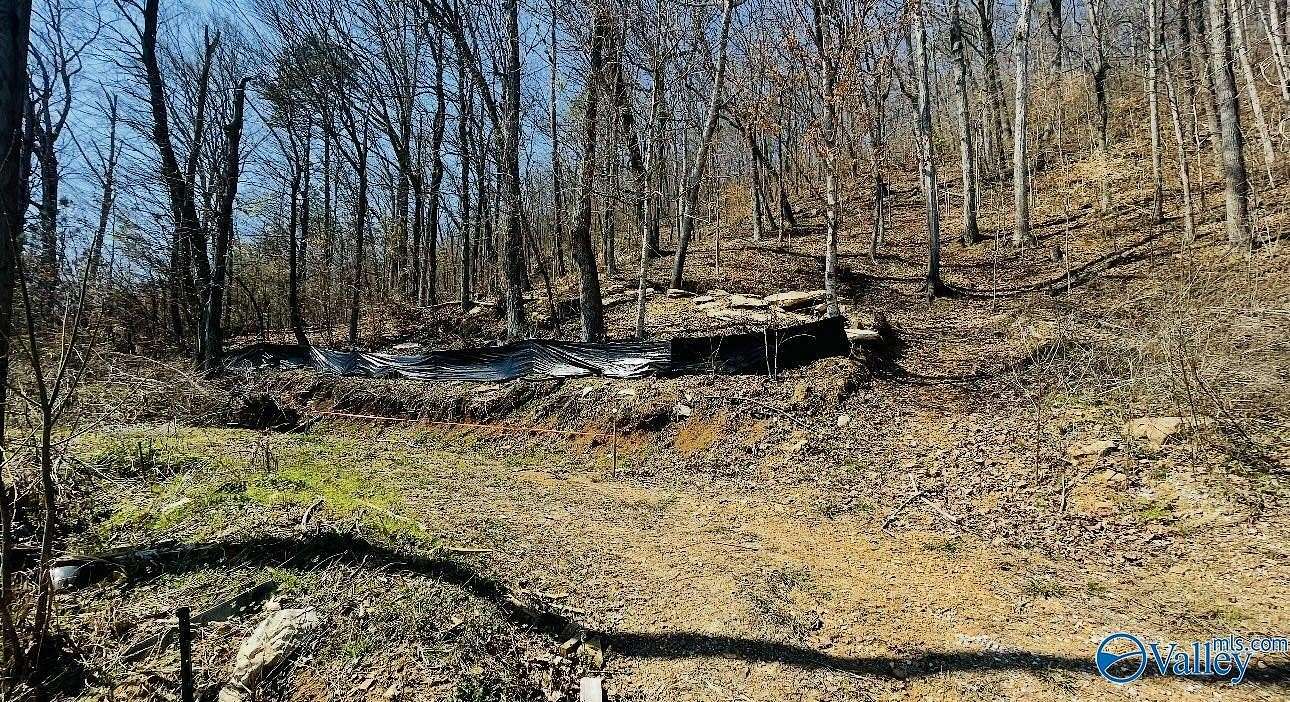 0.46 Acres of Land for Sale in Rainbow City, Alabama