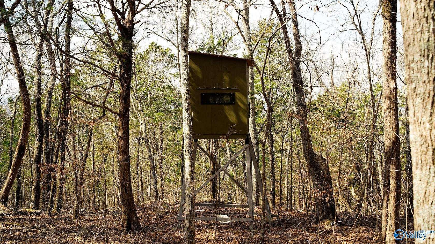 20.5 Acres of Recreational Land for Sale in Stevenson, Alabama