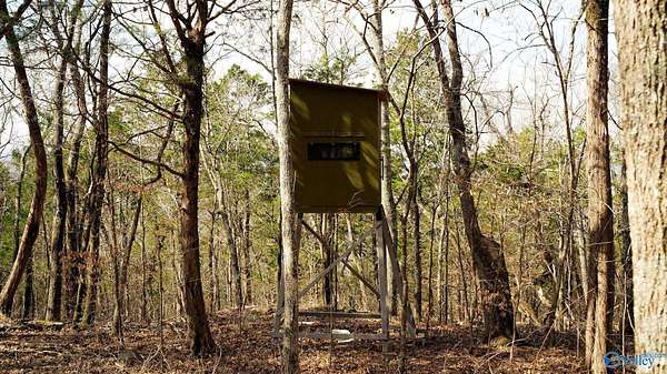 20.5 Acres of Recreational Land for Sale in Stevenson, Alabama