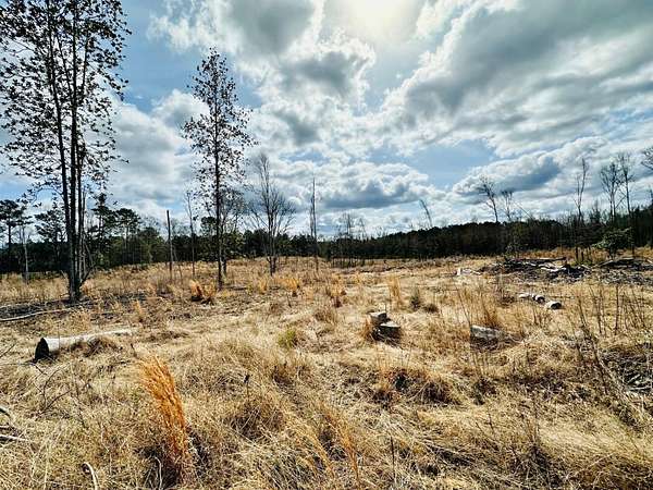15 Acres of Recreational & Residential Land for Sale in Laurel, Mississippi