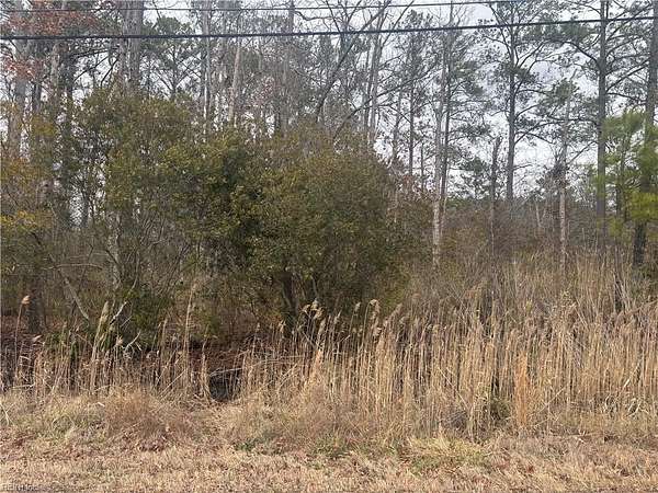 0.25 Acres of Residential Land for Sale in Chesapeake, Virginia