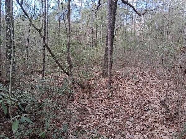 1.85 Acres of Residential Land for Sale in Chunchula, Alabama