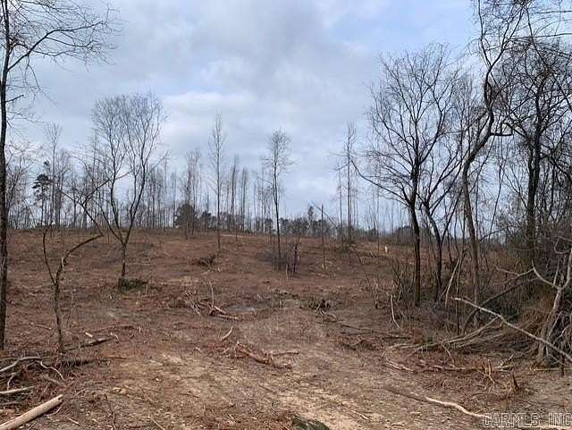 20.3 Acres of Land for Sale in Bismarck, Arkansas