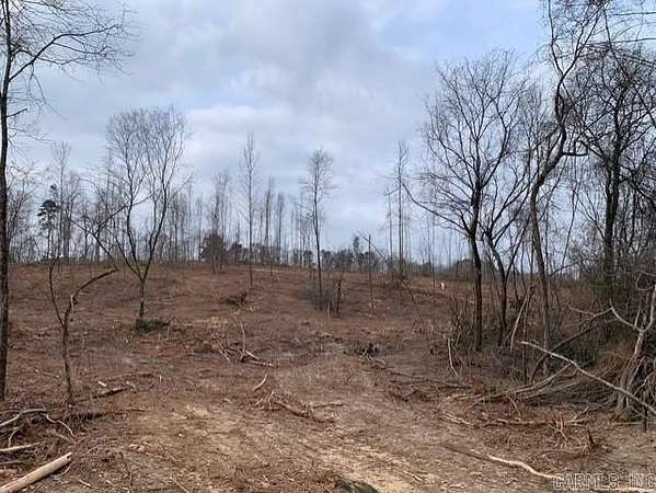 20.3 Acres of Land for Sale in Bismarck, Arkansas