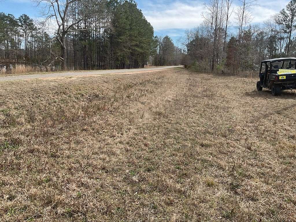 24 Acres of Land for Sale in McKenzie, Alabama