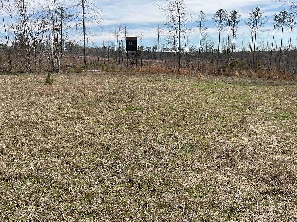 24 Acres of Recreational & Residential Land for Sale in McKenzie, Alabama