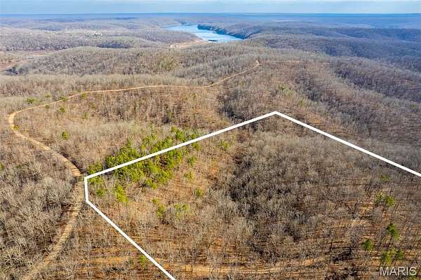80 Acres of Land for Sale in Ellington, Missouri