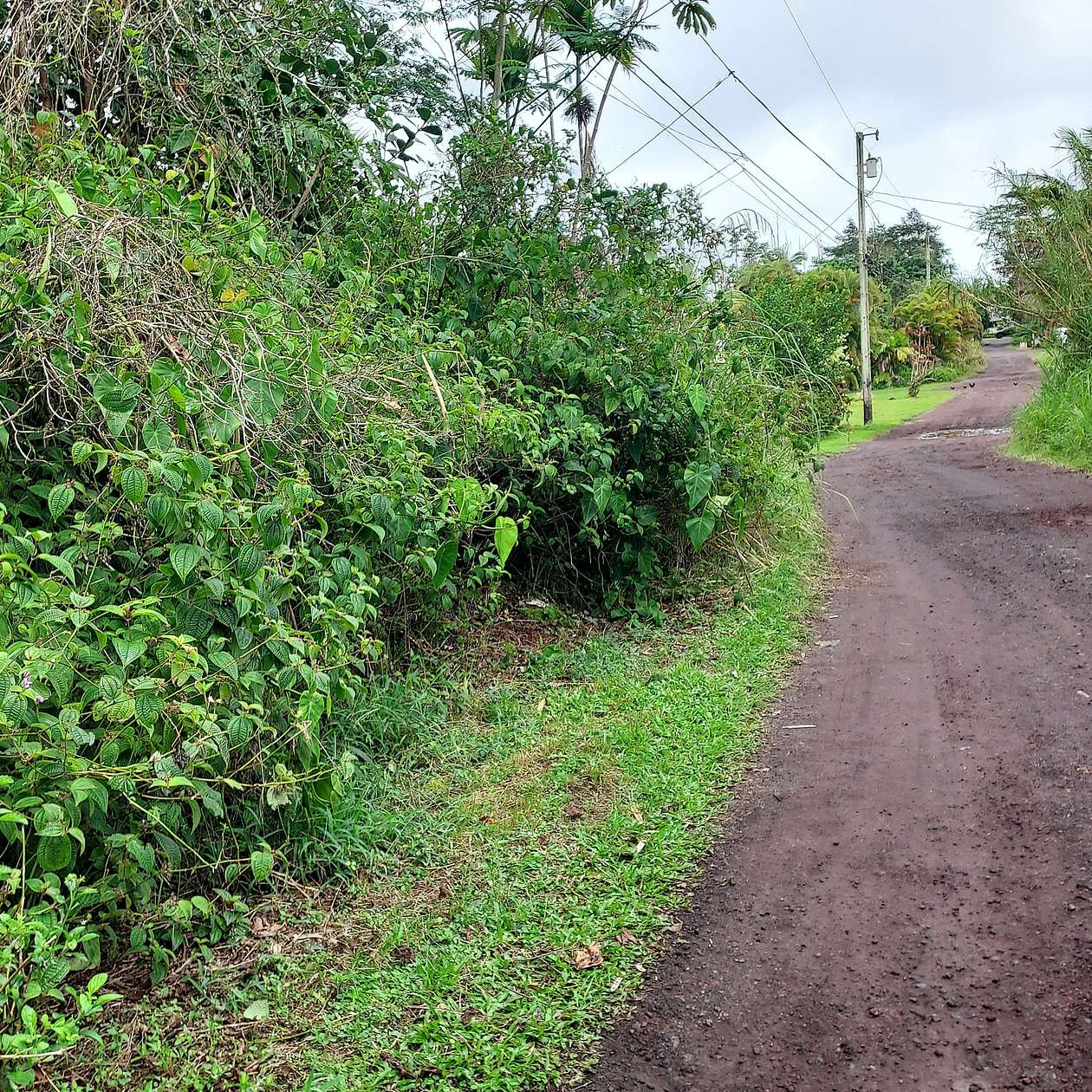 0.19 Acres of Residential Land for Sale in Kurtistown, Hawaii