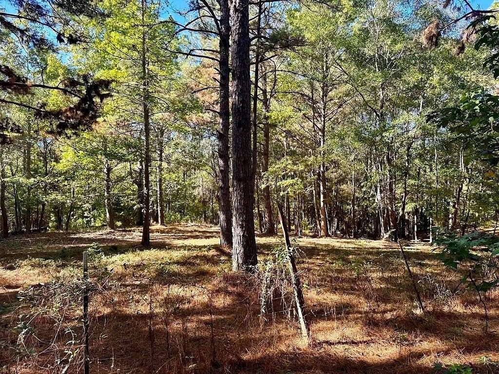 9 Acres of Land for Sale in Woodville, Texas