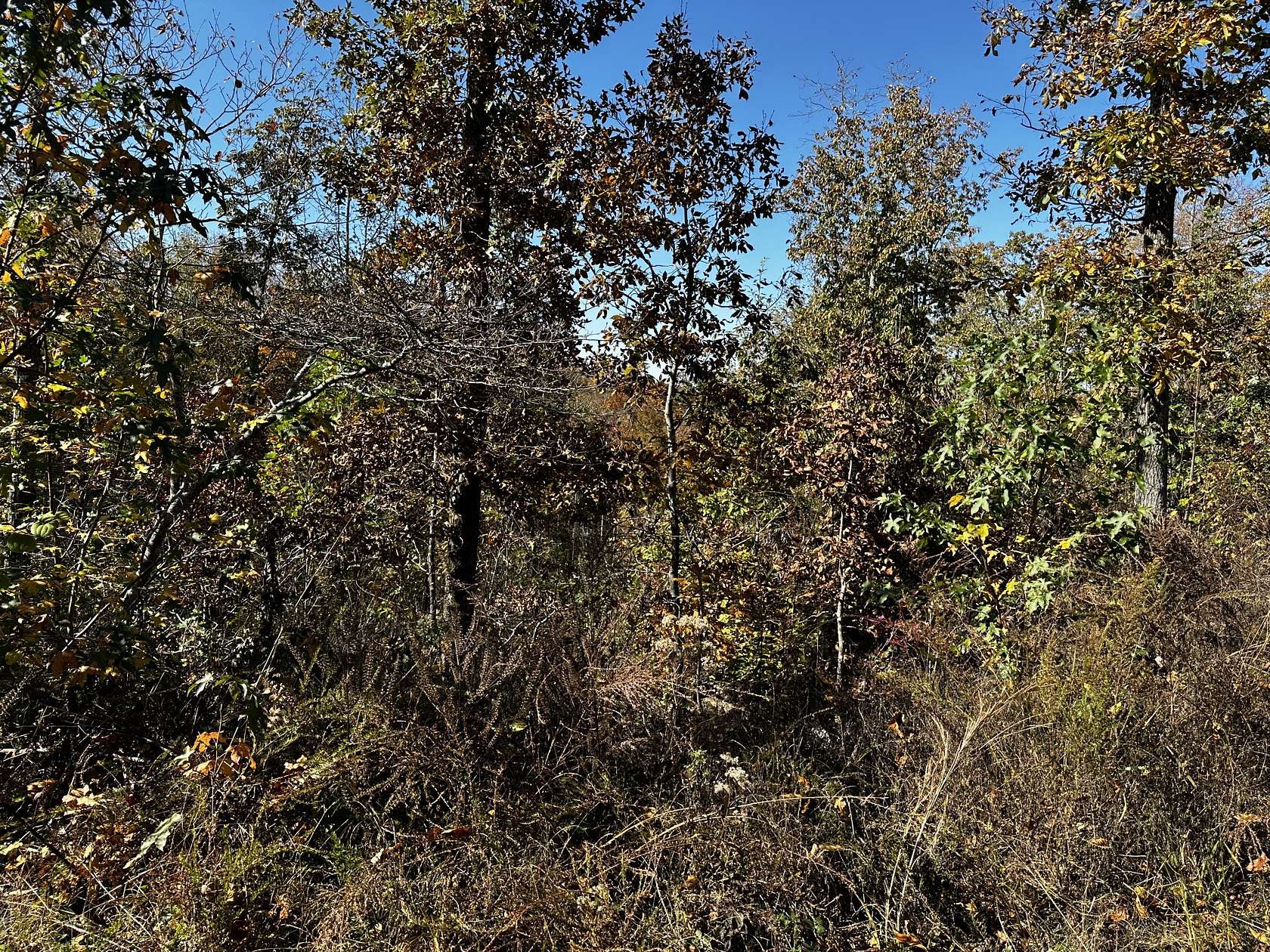 12.8 Acres of Land for Sale in Stewart, Tennessee