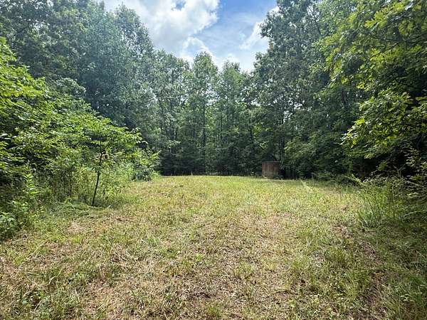 81 Acres of Recreational & Residential Land for Sale in Burkesville, Kentucky