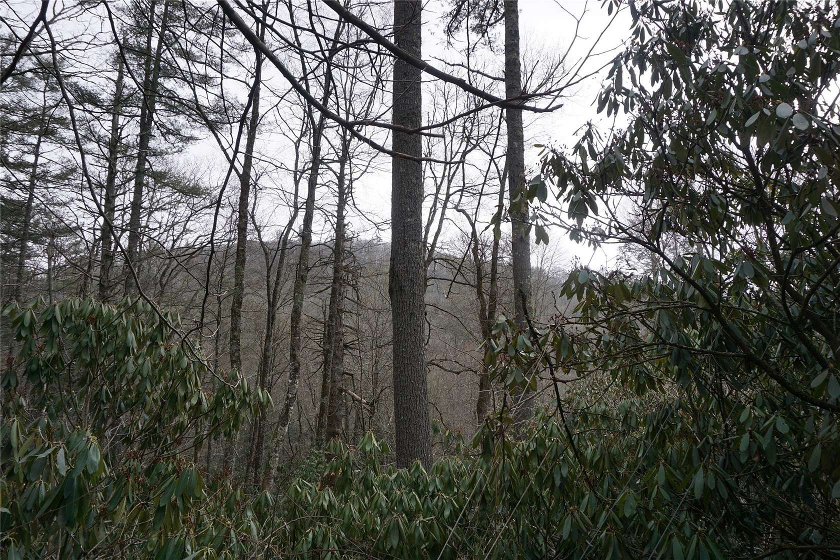 1.29 Acres of Land for Sale in Highlands, North Carolina