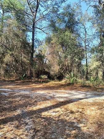 0.13 Acres of Land for Sale in Hawthorne, Florida