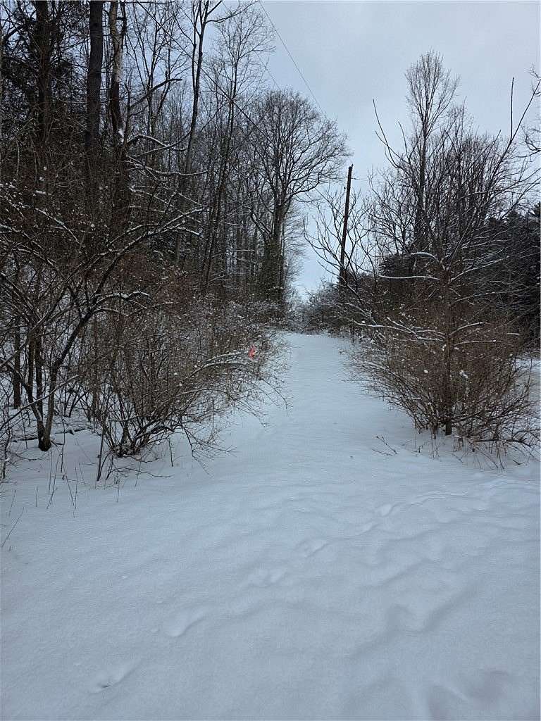 6 Acres of Residential Land for Sale in Corning, New York