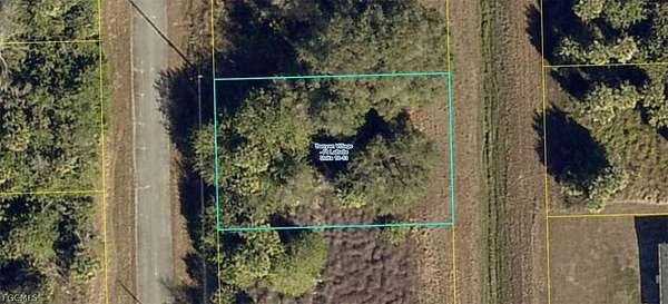 0.23 Acres of Land for Sale in LaBelle, Florida