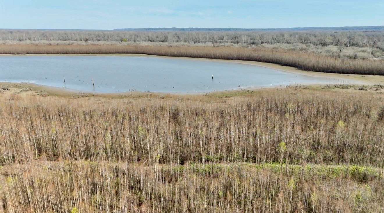 525 Acres of Recreational & Residential Land for Sale in Lettsworth, Louisiana