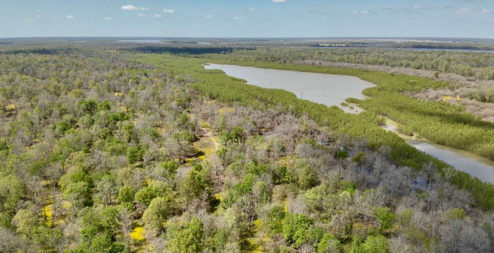 525 Acres of Recreational & Residential Land for Sale in Lettsworth, Louisiana