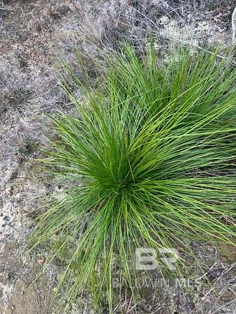 Land for Sale in Brewton, Alabama