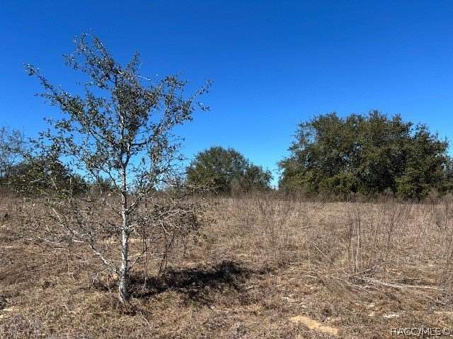 1.17 Acres of Residential Land for Sale in Inverness, Florida