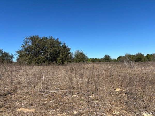 1.17 Acres of Residential Land for Sale in Inverness, Florida