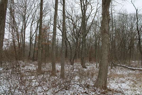 0.73 Acres of Residential Land for Sale in Ada, Michigan