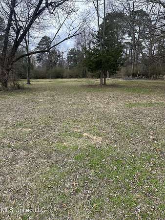 0.8 Acres of Mixed-Use Land for Sale in Madison, Mississippi